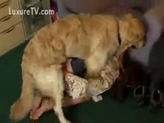 A couple having sex with their puppy